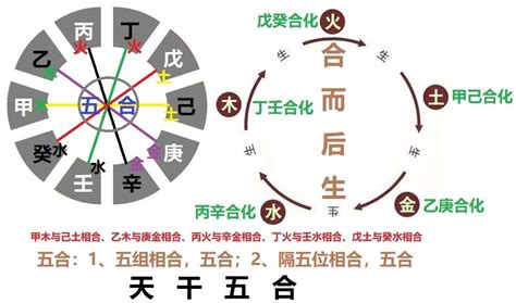 甲己合土|天干五合详解